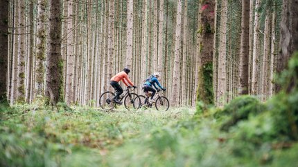 Zwei Radfahrer fahren durch einen dichten Nadelwald