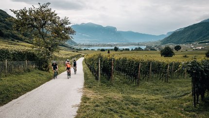 Drei Radfahrer fahren auf einer Landstraße durch Weinberge mit Bergen im Hintergrund.