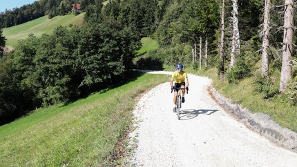 Fahrradfahrer auf Waldweg in hügeliger Landschaft bei Sonnenschein