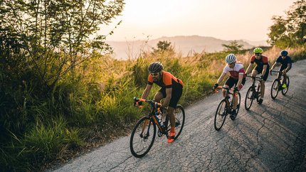 Vier Radfahrer fahren auf einer Straße neben grüner Vegetation am Abend