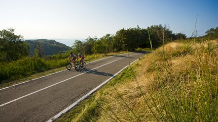 Zwei Radfahrer fahren auf einer Straße durch eine grüne Landschaft bei sonnigem Wetter