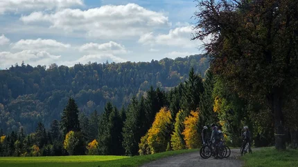 Schwarzwald © David Lemanski Radfahrer machen Pause auf Waldweg im herbstlichen Landschaftspark