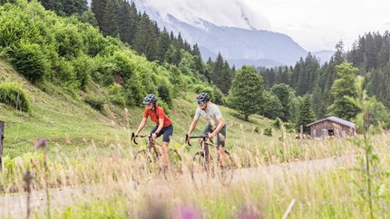 Zwei Radfahrer fahren auf einem Bergweg mit Wald und Wiesen im Hintergrund