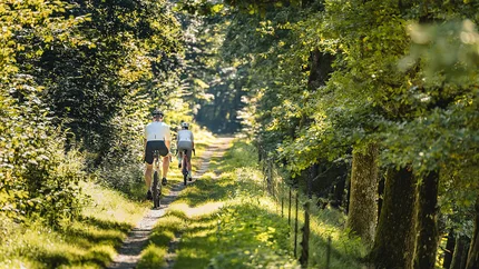 Bayerischer Wald © Stefan J. Wolf Photography Zwei Radfahrer fahren auf einem schmalen Waldweg bei Sonnenschein