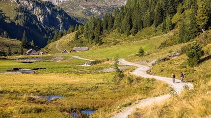 Zwei Radfahrer auf Bergweg mit Alpen, Wiesen und Tannen im Hintergrund